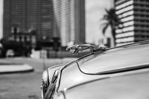 PocketWin Casino Android/iOS rakendus