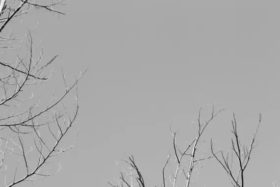 PocketWin Casino Tugi